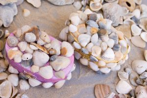 DIY Seashell Treasure Box