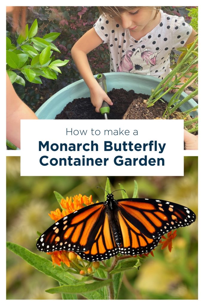Monarch Butterfly Garden